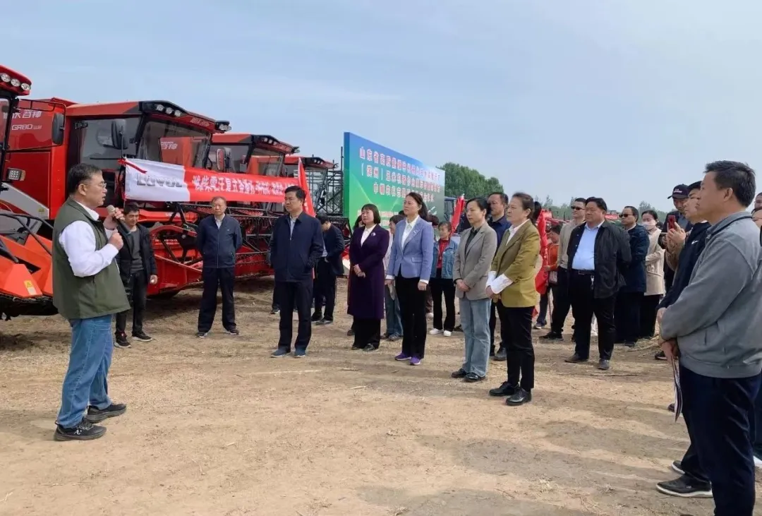 1721200899560264.jpg 1721200869130.jpg